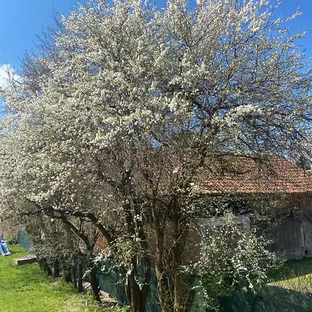 Casa de Férias Mirabelka Łukta